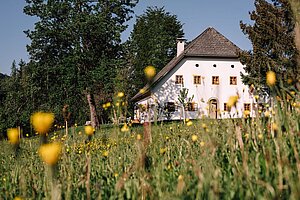 Außenaufnahme Bauernhaus Dörfl in der Straß